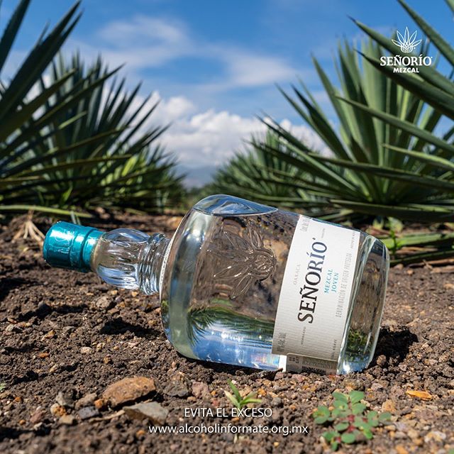 SEÑORÍO MEZCAL | ICONIC BEVERAGES