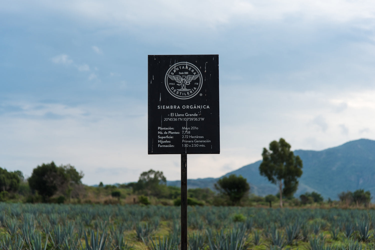 SANTANERA TEQUILA | ICONIC BEVERAGES