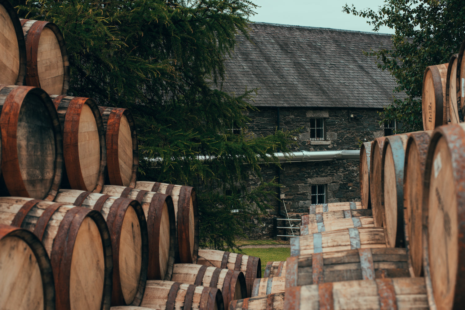 BLADNOCH DISTILLERY | ICONIC BEVERAGES